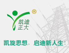 凱迪電力董事長因工作原因請(qǐng)辭